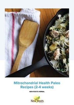 Mitochondrial Health - Paleo Recipes 2-4 weeks