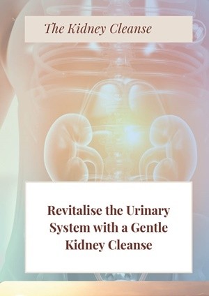 Kidney Cleanse Herbal Guide for Urinary Health