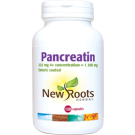 Pancreatin 1.300 mg