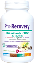 Pro Recovery 120 milliards