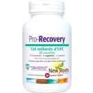 Pro Recovery 120 milliards