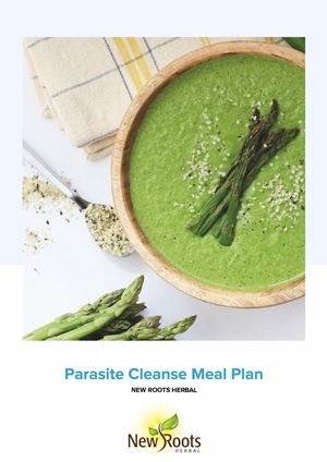 4. Parasite Cleansing - Meal Plan