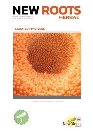 Leaky Gut Protocol