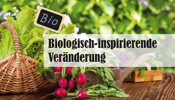 Die Vorteile biologischer Lebensmittel