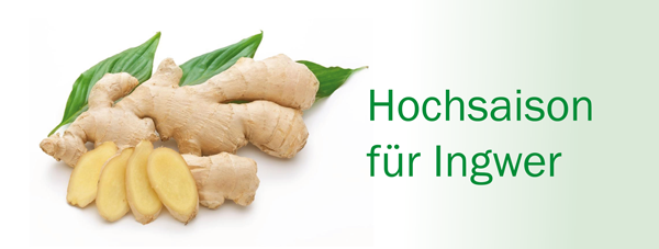 Ingwer und seine Wirkungen