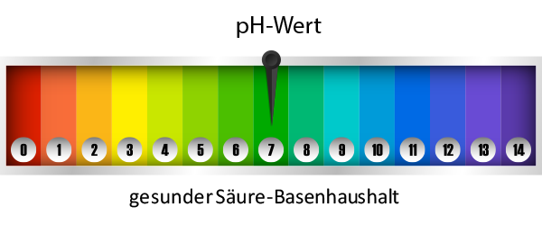 Balance im Säure-Basenhaushalt