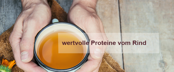 das reiche Nährstoffprofil der Knochenbrühe