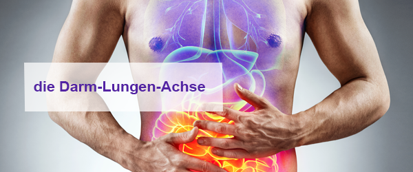 Die Darm-Lungen-Achse und ihre Bedeutung für unsere Gesundheit