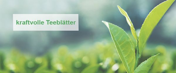 L-Theanin - ein Held der psychischen Gesundheit 