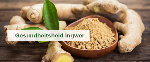 Ingwer und seine therapeutischen Eigenschaften