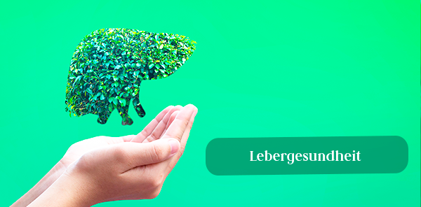 Gesunde Leber, gesundes Leben