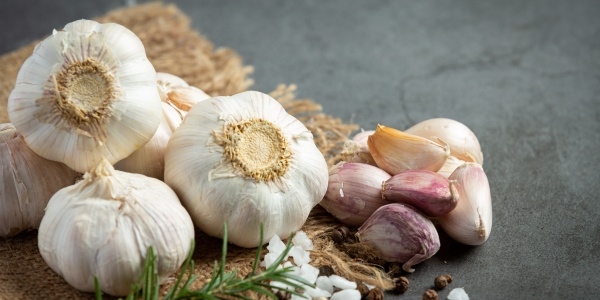 Gesunde Knoblauchknollen und Knoblauchzehen