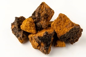 Mushrooms and the Research in CancerID