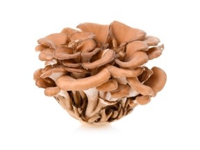 Mushrooms and the Research in CancerID