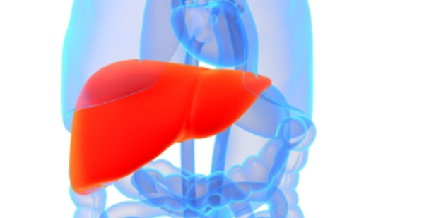 Supporting a Healthy Liver