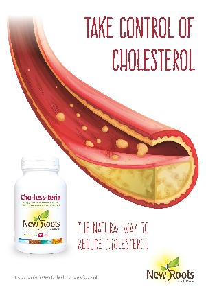 Brochure-Cho-less-terin-NewRootsHerbal-Europe_P_gina_1