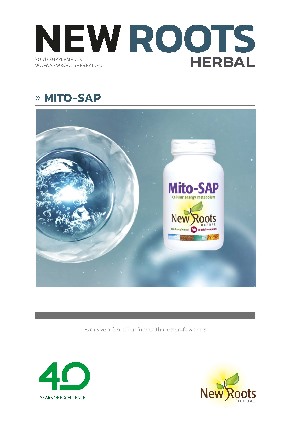 Brochure_Mito-SAP_P_gina_1