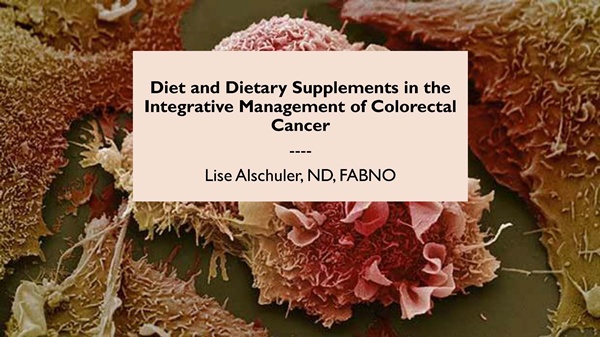 2024-11-20-oncology-series_presentation-diet-and-dietary-supplements-in-the-integrative-management-of-colorectal-cancer