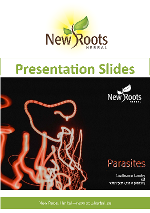 presentation_slides_1